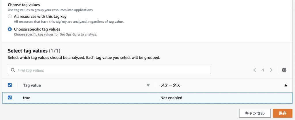 分析対象のAWSリソースのタグからkeyを絞り込み